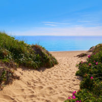 Cape Cod Herring Cove Beach Massachusetts US
