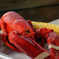 Lobster Ready to be Eaten